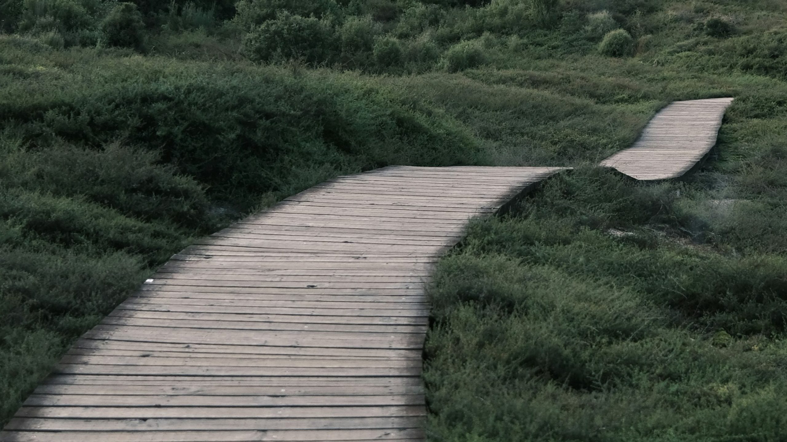 Am Ende eines Weges - Trauerfeier mit Frank Pistor, Freier Redner und Theologe