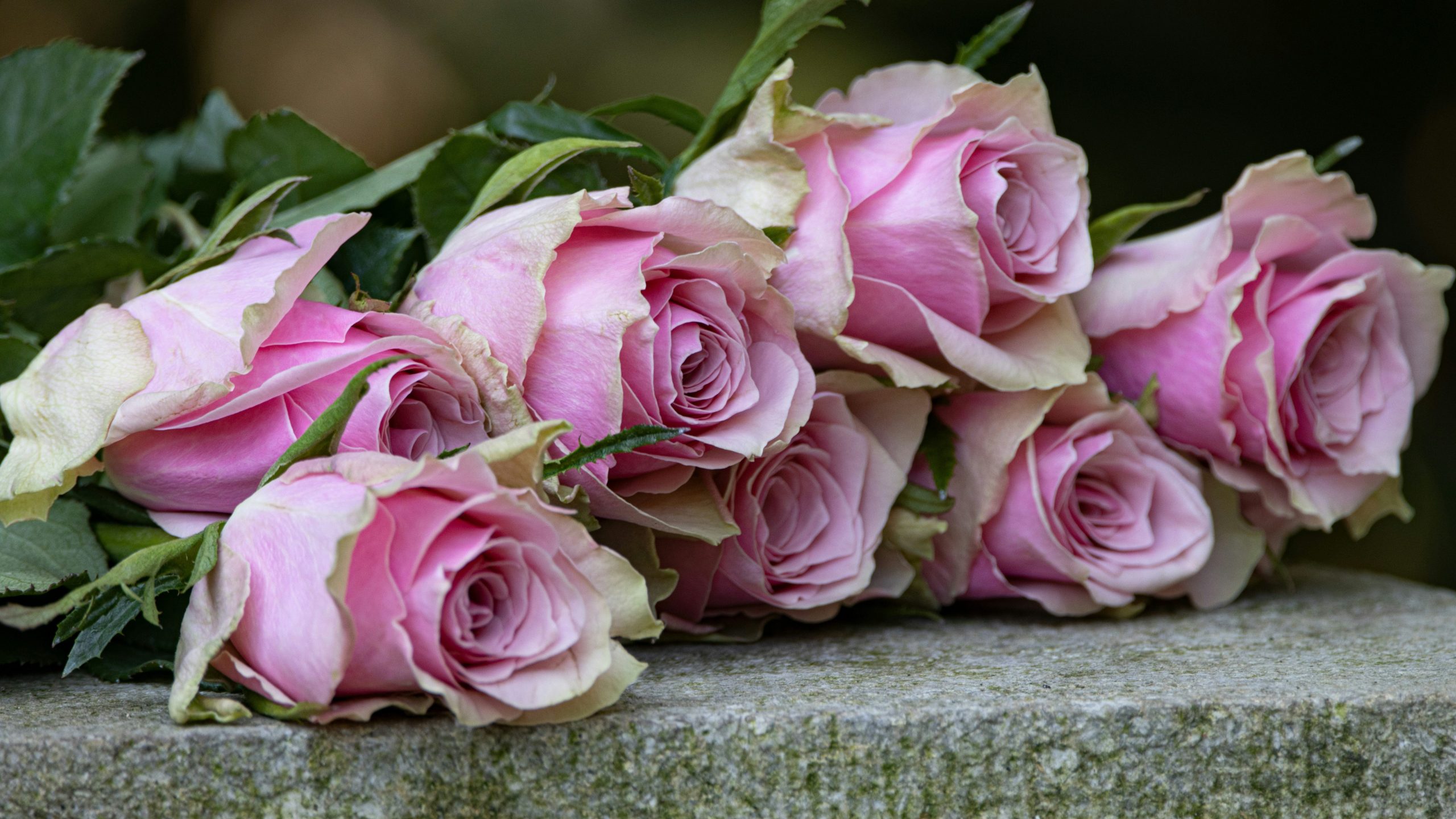 Trauerfeier mit Frank Pistor, Freier Redner und Theologe